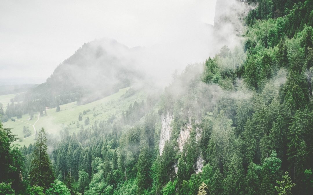 Lorem Ipsum